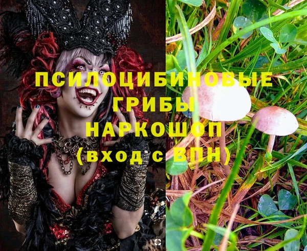 трава Алексин